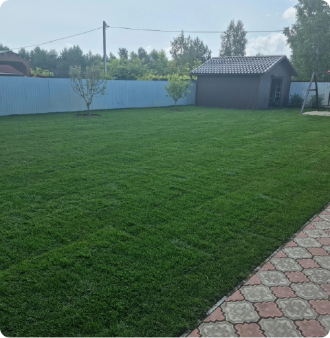 Укладка рулонного газона