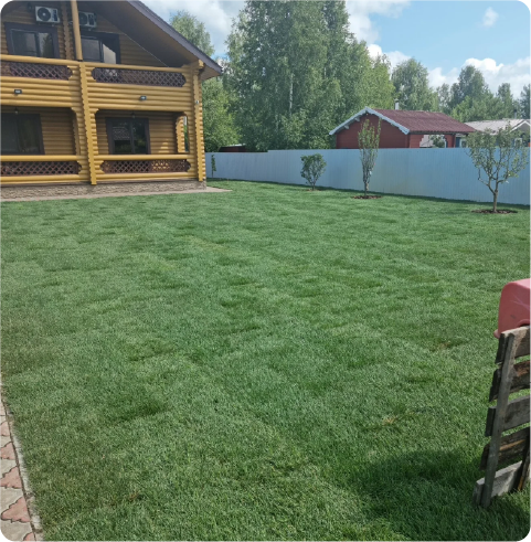 Укладка рулонного газона